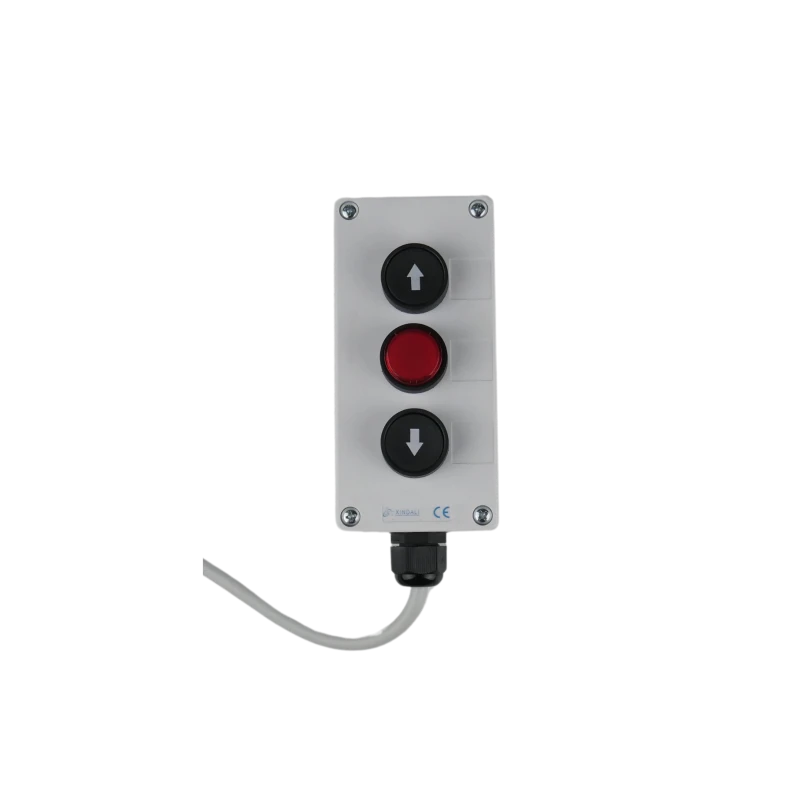 PEGASO UP CONTROL 10 Boîtier De Commande PEGASO UP BFT