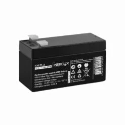 FX121.3 Batterie Rechargeable VRLA 1,3 Ah IZYX