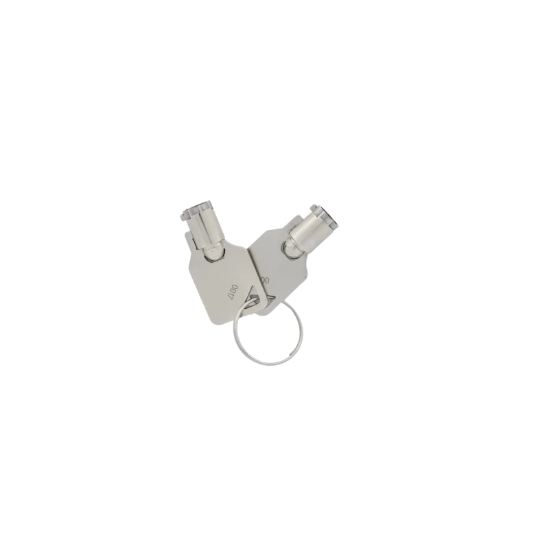 SET/S Déverrouillage Extérieur à Clé BFT 5 SET/S Déverrouillage Extérieur à Clé BFT – Image 3