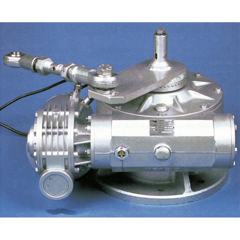 FROG-MD Moteur Droit Enterré Portail Battant CAME 230V 3 FROG-MD Moteur Droit Enterré Portail Battant CAME 230V